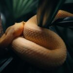 Why Is My Snake Plant Turning Yellow? Common Causes and Solutions