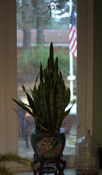 Windows USA installation at my home