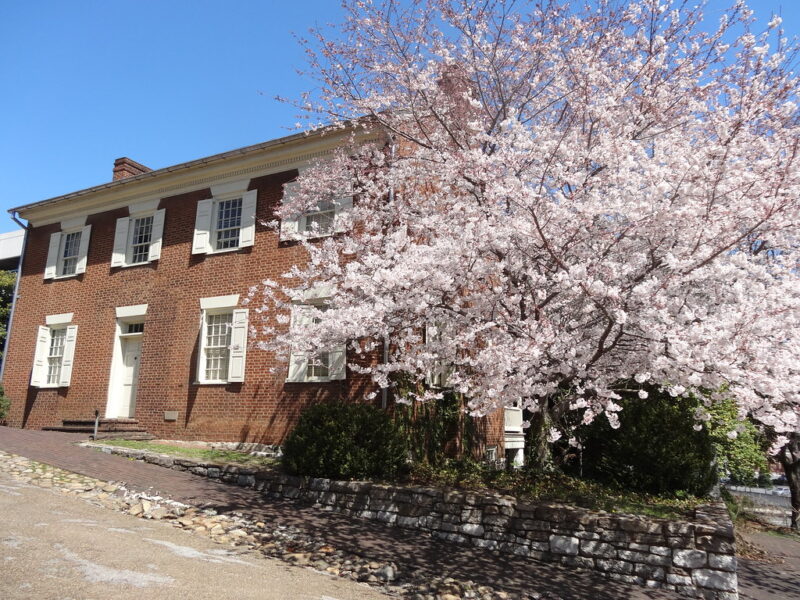 Cherry blossom and old red brick colonial house in Knoxville Tennessee.