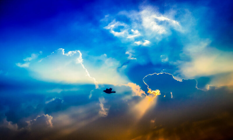 Fly into new horizons !