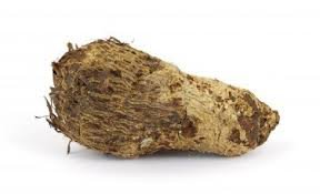 Fresh Malanga (5lbs)