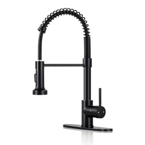 DJS Kitchen Faucets with Pull Down Sprayer