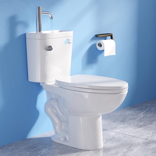 Simple Project Tall Toilet with Sink