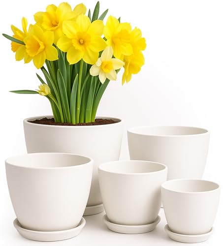 Utopia Home - Plant Pots Indoor with Drainage