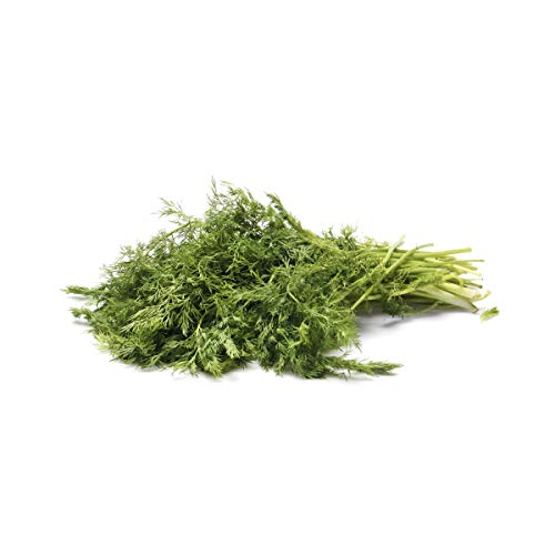Herb Dill Organic, 1 Bunch