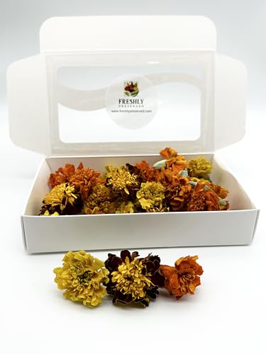 Edible Flower Freshly Preserved Freeze-dried Marigolds