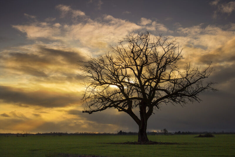 Storm clouds moving across the Willamette Valley, Oregon