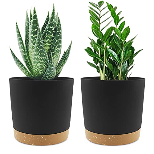 QCQHDU 6.5 inch Plant Pot