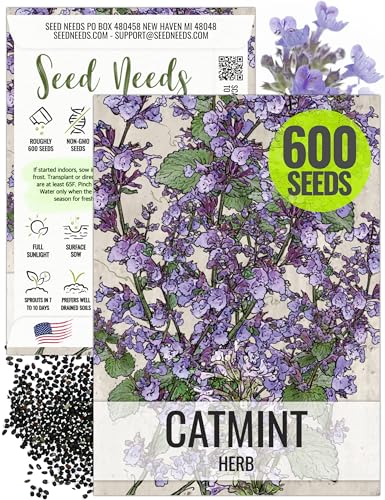 Seed Needs, Catmint Seeds for Cats