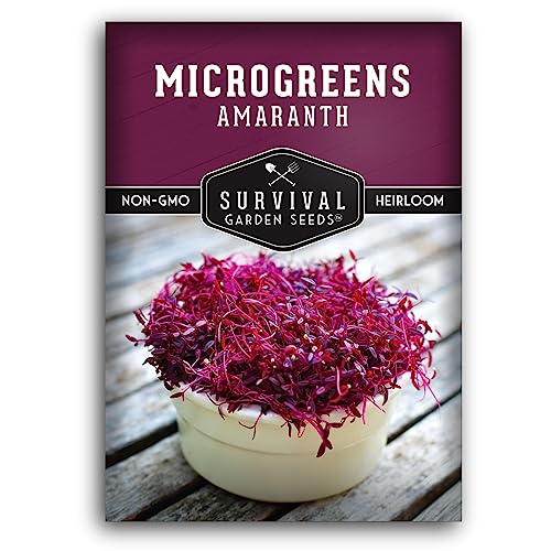 1 Pack Amaranth Microgreens Seeds for Planting and Growing