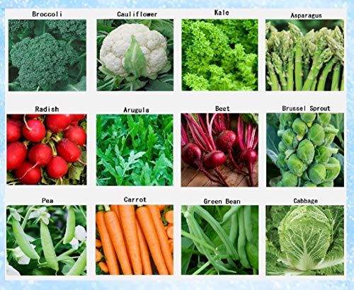 Premium Winter Vegetable Seeds for Planting Organic Non-GMO Heirloom Seeds