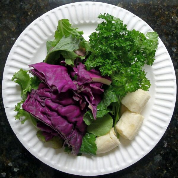 Groundhog bait, a perfect mix of fresh herbs and greens, ideal for trapping or photographing wildlife.