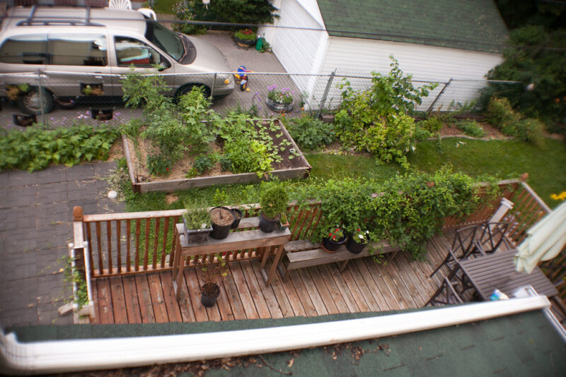 Our backyard view with plants and a deck for privacy