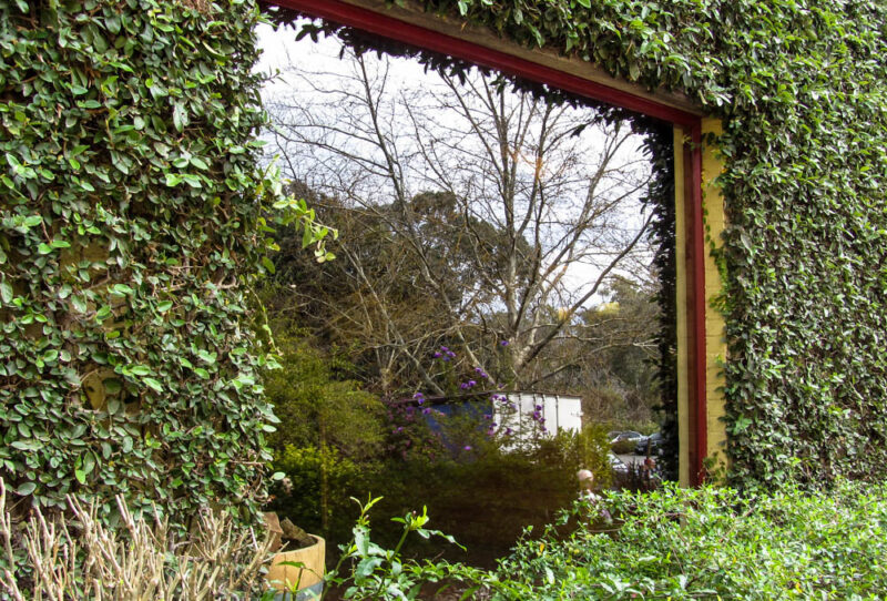 Relfections of the Garden