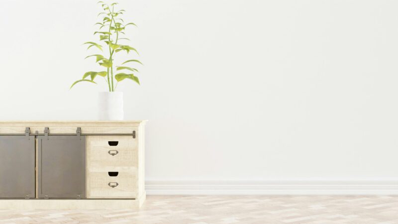 Bright minimalist interior with a wooden sideboard and potted plant, perfect for modern living space inspiration.