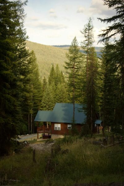 A scenic view of a cabin nestled among tall evergreen trees in a mountainous forest.