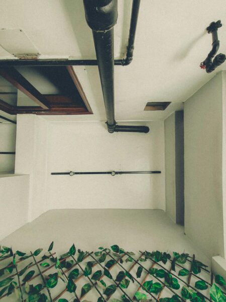 Interior with climbing ivy on trellis