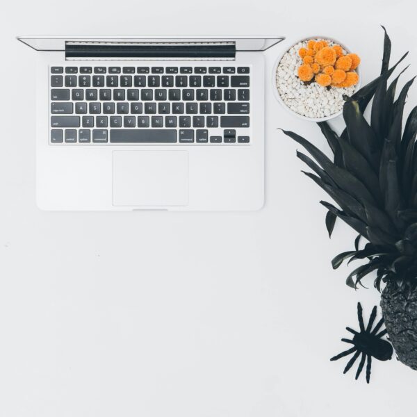 Modern minimalistic desk setup featuring a laptop, pot plant, and black pineapple.