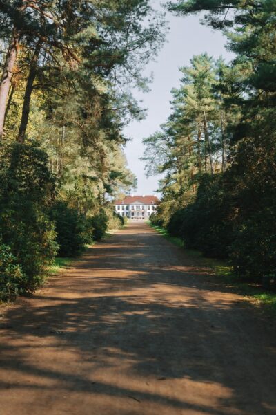A grand mansion framed by tall trees on a serene dirt road.