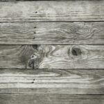 Knotty Pine Walls: A Rustic Charm for Modern Homes