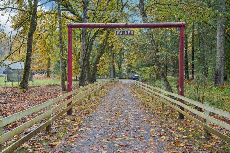 A serene autumn pathway with colorful leaves and a Walker sign overhead.