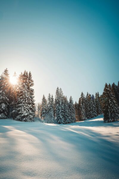 Sunlit winter scene in Troistorrents, Suisse, showcasing snow-covered trees and bright sky.