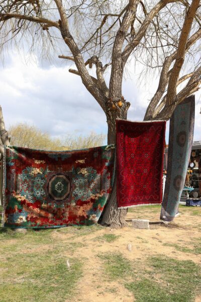 Vibrant patterned textiles hanging on a tree in a rustic outdoor setting.