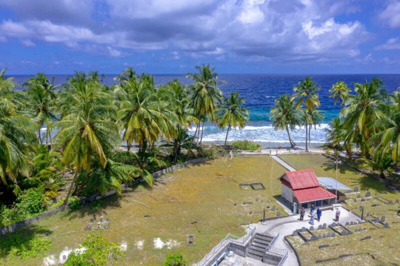 Aerial view of a tropical beach with palm trees, turquoise ocean, and a small building