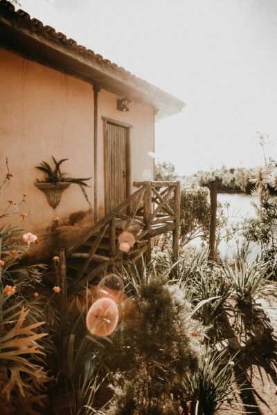 Charming rustic entrance with lush garden plants and sunlit atmosphere.