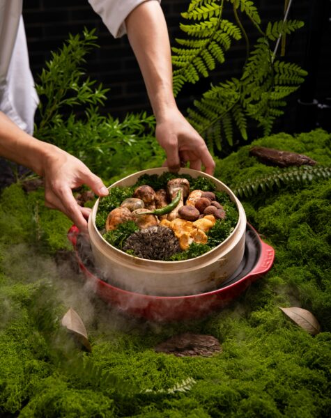 Gourmet dish of assorted mushrooms and greens in a lush forest setting.
