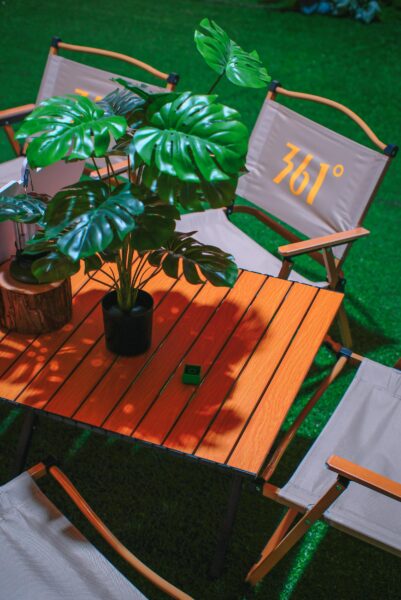 Vibrant outdoor patio scene featuring chairs around a wooden table with a lush tropical plant centerpiece.