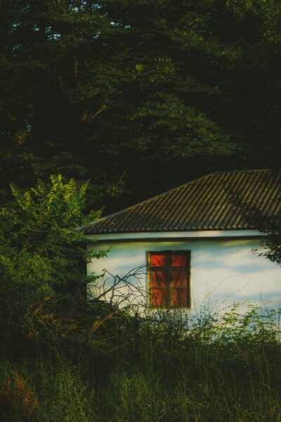 A secluded cottage surrounded by dense foliage offers a tranquil retreat amid nature.