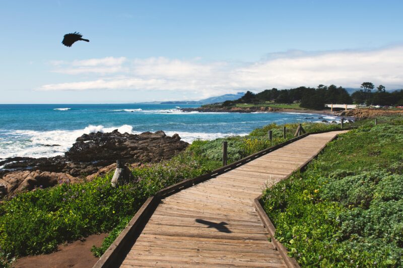 Explore the picturesque boardwalk with ocean views in Cambria, California.