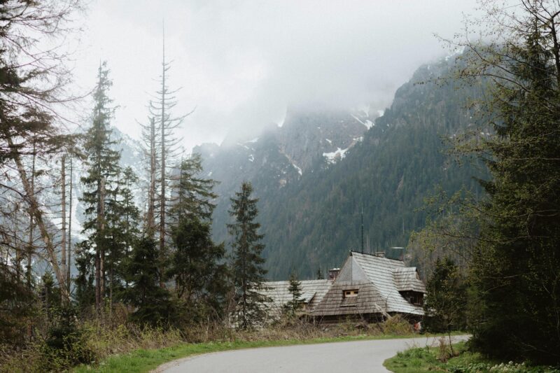 Charming rustic house nestled in a foggy mountain landscape surrounded by conifer trees and a winding road.