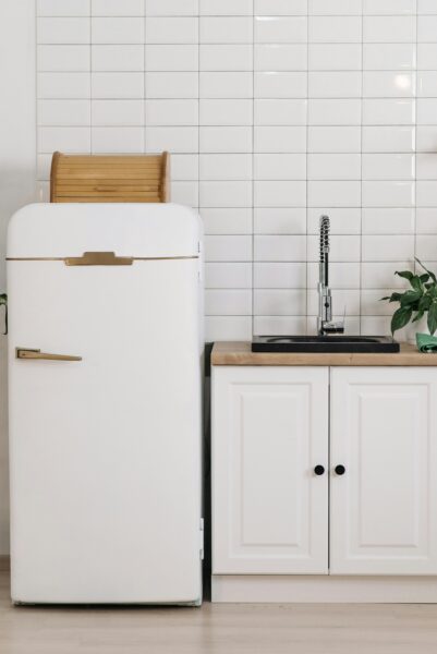 A modern minimalist kitchen featuring a vintage white fridge, sink, and greenery