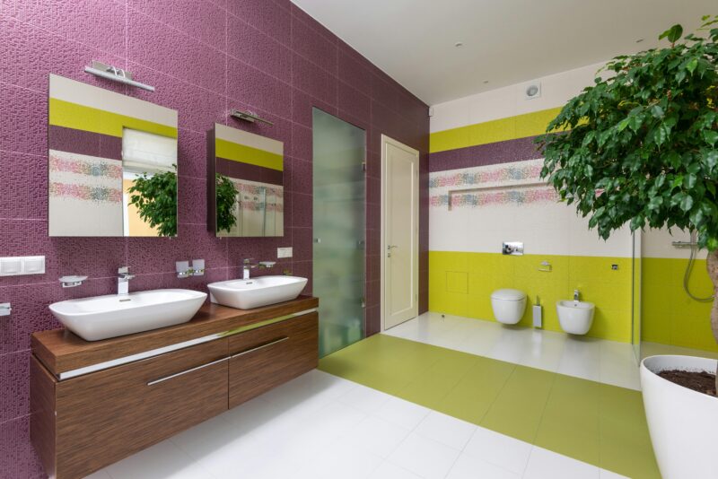 Bright and colorful bathroom with contemporary fixtures, double sink, and decorative plant.