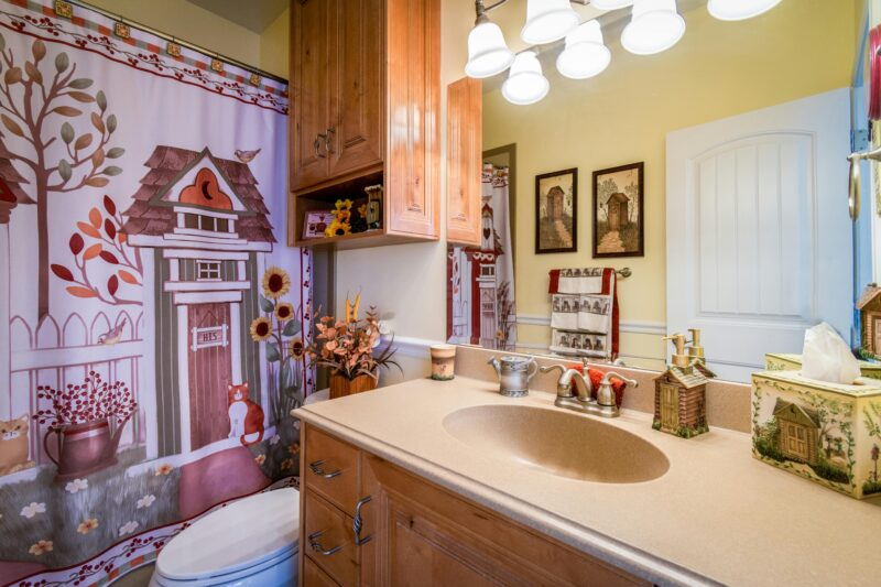 Warm and inviting bathroom with rustic decor and countryside-inspired artwork on shower curtain.