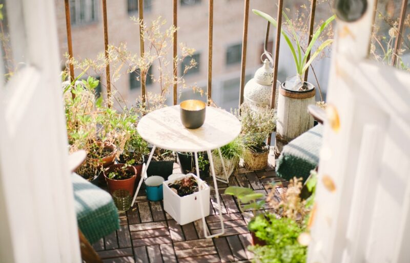 Garden on terrace during daytime