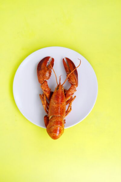 Lobster on white saucer