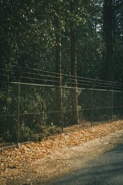 Black metal fence near trees during daytime