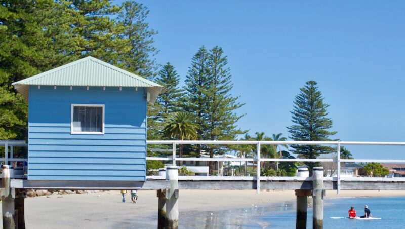 Little Blue House on Stilts