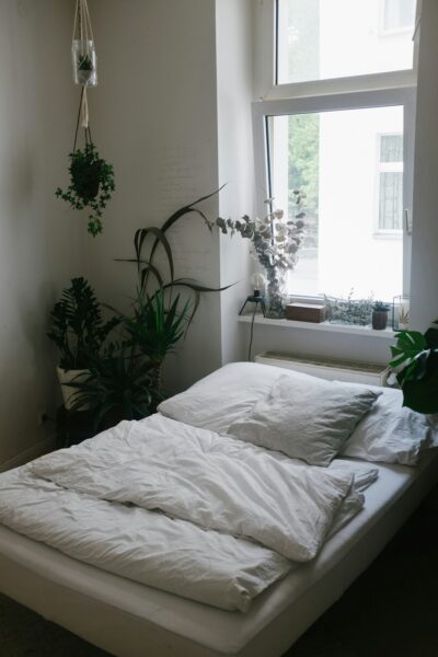 Green potted plant on white bed in a minimalist bedroom