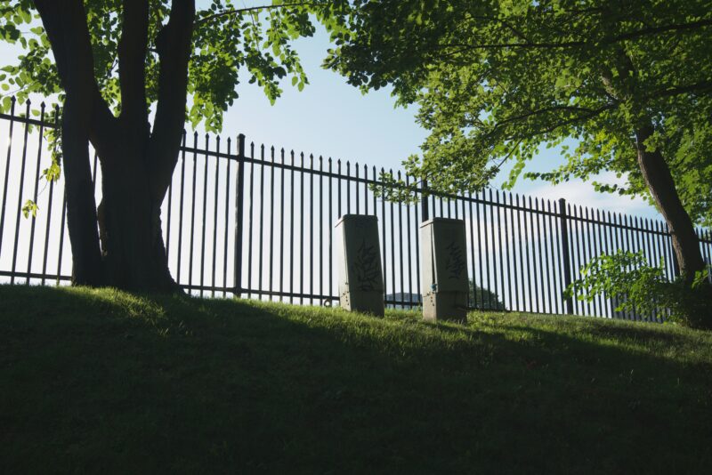 White wooden fence near green trees during daytime