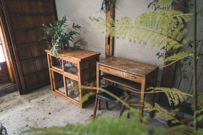 Green plant on brown wooden table.