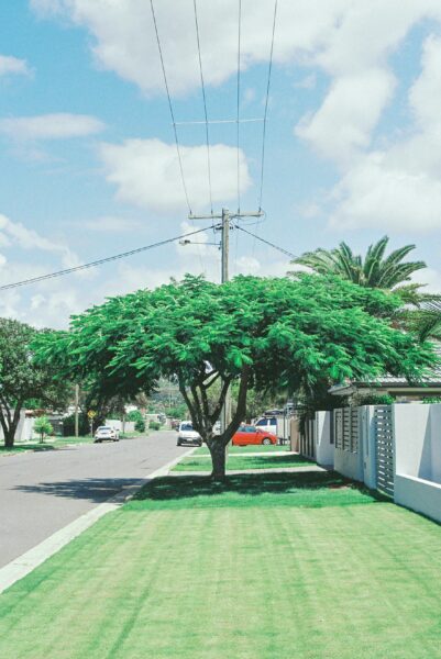 Green tree near white and gray house during daytime