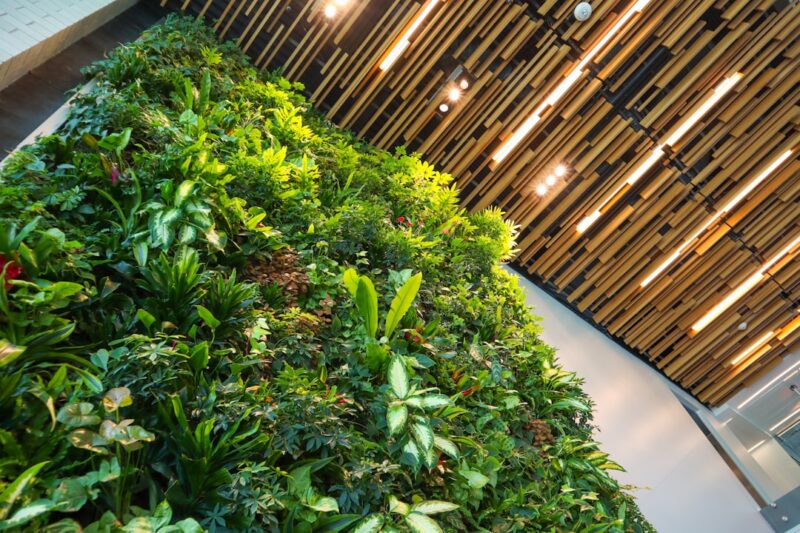 Green plants on white concrete floor