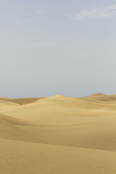 A desert landscape with sand dunes