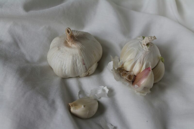 A group of garlic