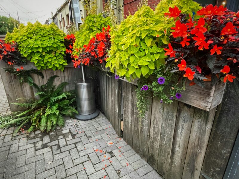 Fence with plants and flowers on an extended patio