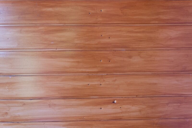 Cat lying on wooden floor next to a wall.